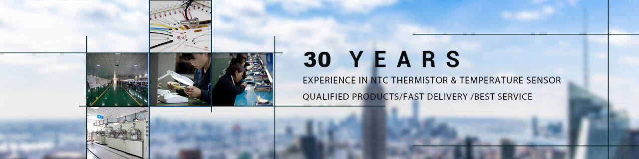 Precision NTC Thermistor